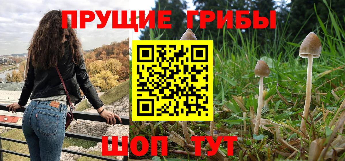 Галлюциногенные грибы ЛСД Еманжелинск
